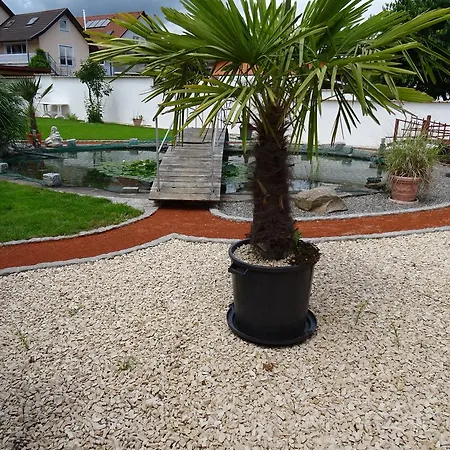 Apartman Goga